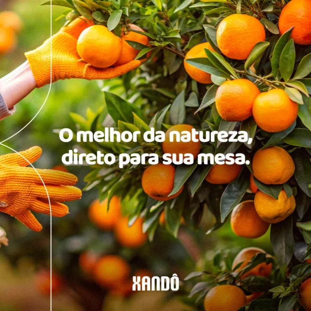 Tudo na vida começa com escolhas. E aqui, na Xandô, a nossa é por um padrão de qualidade que se traduz em produtos frescos, saborosos e naturais.Servir um café da manhã com leite e manteiga de verdade, brindar o dia com um suco puro ou preparar receitas com queijo e creme de leite especiais é ir além do alimento, são gestos de carinho, saúde e bem-estar.Por isso, quem busca excelência escolhe a Xandô.É o melhor da natureza, direto para sua mesa.#Xandô #ProdutosXandô #LeiteTipoA #ManteigaExtra #SucoIntegral #QueijoCoalho #QueijoMinas #CremeDeLeite