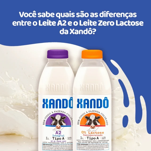 O leite A2 e o leite zero lactose da Xandô oferecem diferentes benefícios. No caso do leite zero lactose, a lactose é quebrada em glicose e galactose, o que facilita a digestão para pessoas com intolerância à lactose.Já o leite A2, obtido de vacas que produzem apenas a proteína A2, é mais fácil de digerir e pode reduzir desconfortos abdominais associados ao consumo de leite comum. No entanto, ele ainda contém lactose, portanto, não é indicado para intolerantes à lactose.